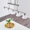 Bamenda Pendant Light matt nickel, 5-light sources