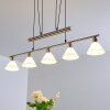 Bamenda Pendant Light matt nickel, 5-light sources