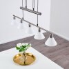 Bamenda Pendant Light matt nickel, 5-light sources