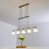 Bamenda Pendant Light matt nickel, 5-light sources
