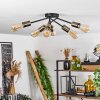 Ceiling Light Vestjelland brass, black, 6-light sources