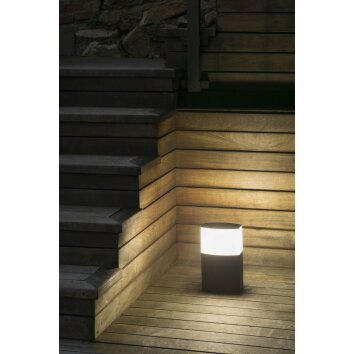 Faro Datna pedestal light anthracite, 1-light source