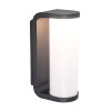 Outdoor Wall Light Lutec ADALYN LED anthracite, 1-light source