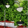 THEUX path light black, 1-light source