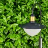 THEUX path light black, 1-light source