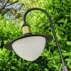 THEUX path light black, 1-light source