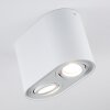 Quimper Ceiling Light white, 2-light sources
