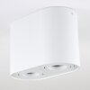 Quimper Ceiling Light white, 2-light sources