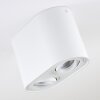 Quimper Ceiling Light white, 2-light sources