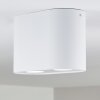 Quimper Ceiling Light white, 2-light sources