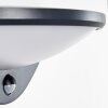 CARANO Outdoor Wall Light LED black, 1-light source, Motion sensor