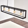 TRARYD Pendant Light black, 4-light sources