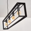 TRARYD Pendant Light black, 4-light sources