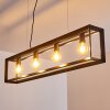 TRARYD Pendant Light black, 4-light sources