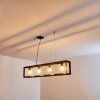 TRARYD Pendant Light black, 4-light sources