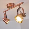 ANIAK Ceiling Light LED copper, 2-light sources