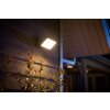 Philips HUE AMBIANCE WHITE & COLOR DISCOVER Floodlight LED black, 1-light source, Colour changer