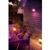 Philips HUE AMBIANCE WHITE & COLOR DISCOVER Floodlight LED black, 1-light source, Colour changer