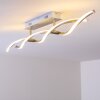 Paul Neuhaus POLINA ceiling light LED stainless steel, 2-light sources