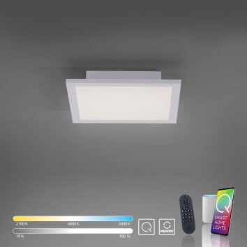 Paul Neuhaus Q-Flag Ceiling Light LED white, 1-light source, Remote control