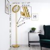 UMAG Floor Lamp LED brass, 2-light sources