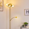 UMAG Floor Lamp LED brass, 2-light sources