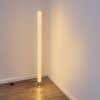 Pipe Floor Lamp LED matt nickel, 1-light source, Remote control, Colour changer