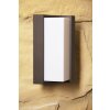 Trio SUEZ outdoor wall lamp LED black, 1-light source