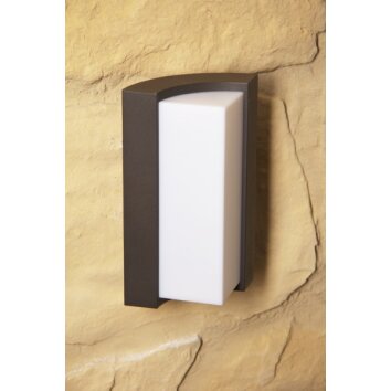 Trio SUEZ outdoor wall lamp LED black, 1-light source