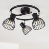 BOLDERSLEV Ceiling Light chrome, black, 3-light sources