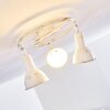 POLMAK Ceiling light gold, white, 3-light sources