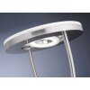 Leuchten-Direkt HELIA floor lamp LED stainless steel, 4-light sources