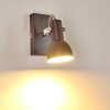 Danikon Wall Light brown, chrome, 1-light source