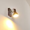 Danikon Wall Light brown, chrome, 1-light source
