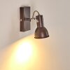 Danikon Wall Light brown, chrome, 1-light source