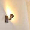 Danikon Wall Light brown, chrome, 1-light source