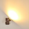 Danikon Wall Light brown, chrome, 1-light source