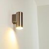 BRACHY Outdoor Wall Light LED stainless steel, 1-light source