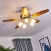 IRVING ceiling fan chrome, grey, Light wood, 5-light sources
