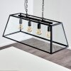 NITTORP Pendant Light black, 4-light sources