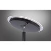 Leuchten-Direkt HANS Floor Lamp LED black, 1-light source