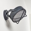 GOTTER Outdoor Wall Light LED anthracite, 1-light source