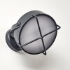GOTTER Outdoor Wall Light LED anthracite, 1-light source