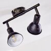 POLMAK ceiling spotlight black-gold, 2-light sources
