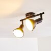 POLMAK ceiling spotlight black-gold, 2-light sources