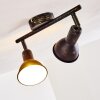 POLMAK ceiling spotlight black-gold, 2-light sources