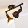 POLMAK ceiling spotlight black-gold, 2-light sources