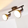 POLMAK ceiling spotlight black-gold, 2-light sources