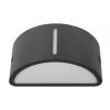 Lutec BONN outdoor wall light anthracite, 1-light source