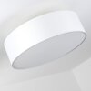 Foggia ceiling light white, 3-light sources